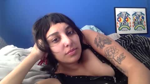 Snapshot of polymamii chatting on 03.02.26 polymamii online show from 03.02.26