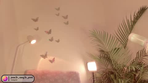 genie online show from 12.05.24