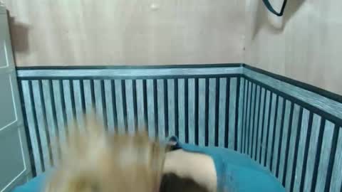 Kate online show from 12.02.25