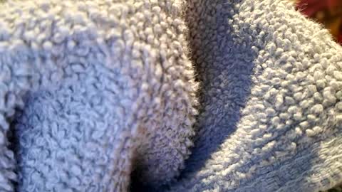 PrettyPrick4U online show from 01.22.25