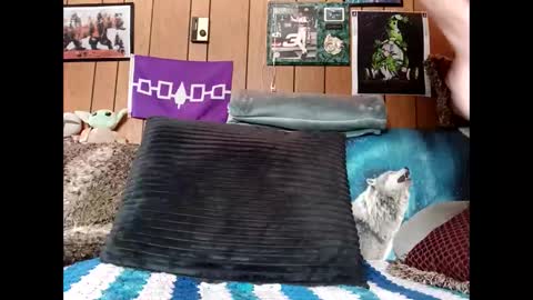 prettysolid7 online show from 03.22.26