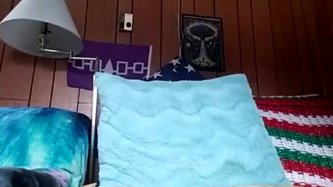 Snapshot of prettysolidd7 chatting on 12.04.24 prettysolidd7 online show from 12.04.24