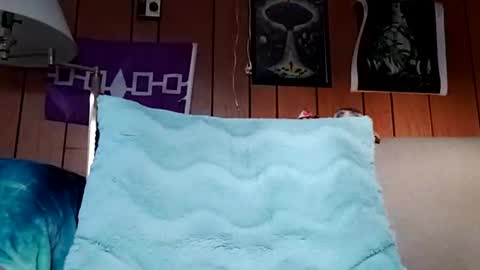 Snapshot of prettysolidd7 chatting on 12.16.24 prettysolidd7 online show from 12.16.24