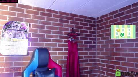 Snapshot of princesa_leia_zathur chatting on 01.30.25 Leia online show from 01.30.25