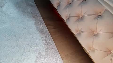 prinzkail643 online show from 02.03.26