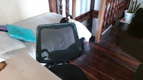 prismm_ online show from 09.14.25