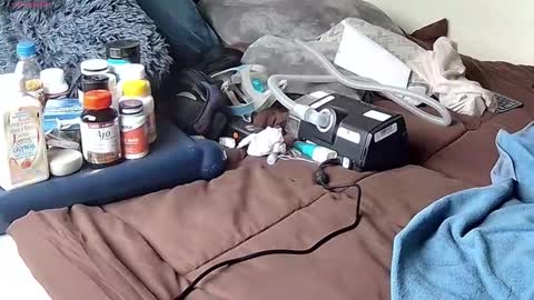 Probardetodo independent model online show from 01.09.26