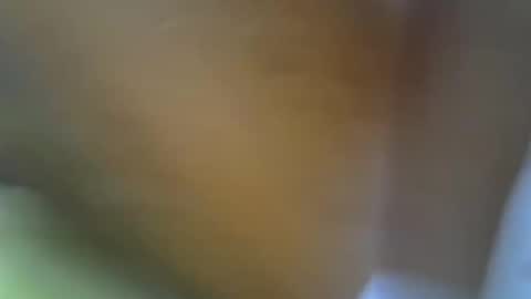 Princess online show from 11.17.25