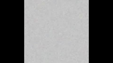 prostatepete online show from 02.01.26