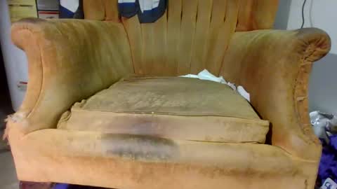 pspee313 online show from 11.01.25