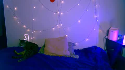 EsteticHouse online show from 01.24.25