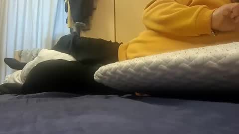 Pulp online show from 01.14.25