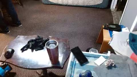 Jojo online show from 04.02.26