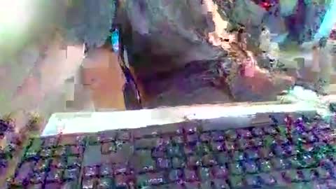 pup_y online show from 09.20.25