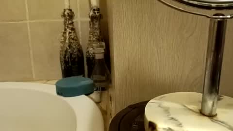 Snapshot of purecharismacpl chatting on 02.20.26 purecharismacpl online show from 02.20.26