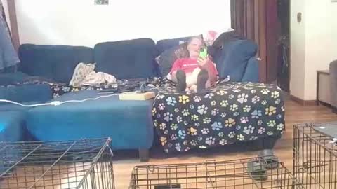 Mark online show from 10.06.25