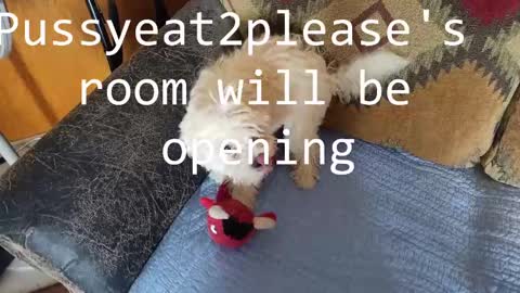 Rick online show from 02.12.25