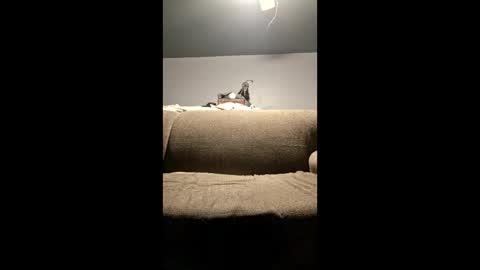 Snapshot of pussylicker517038 chatting on 04.29.26 pussylicker517038 online show from 04.29.26