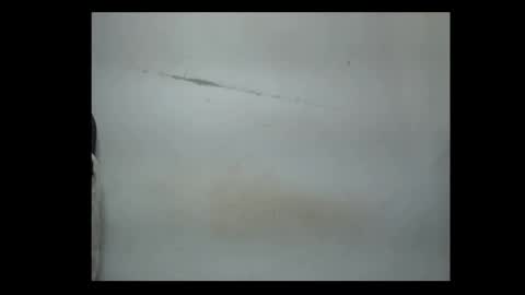 pussyxwetx online show from 02.04.26