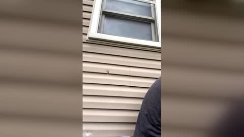 Snapshot of pyrex8 chatting on 04.13.26 pyrex8 online show from 04.13.26