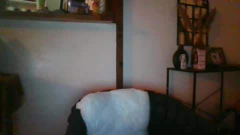 Python online show from 07.31.26