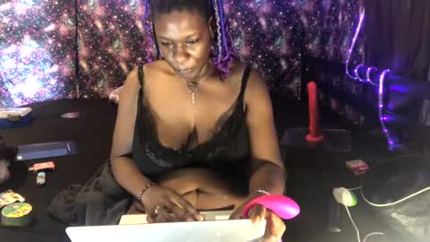 qnibee online show from 11.02.25