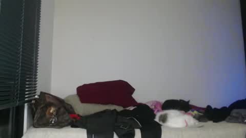 Snapshot of queennicky88 chatting on 01.02.25 Nico online show from 01.02.25