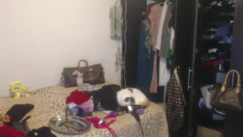 Snapshot of queennicky88 chatting on 02.13.25 Nico online show from 02.13.25