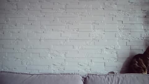 QueenOfModels online show from 11.17.25