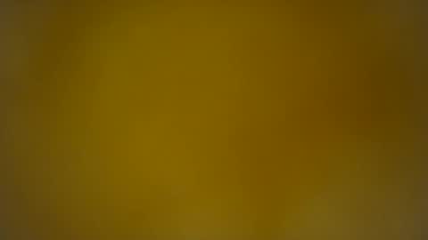 quinnxx online show from 02.26.26