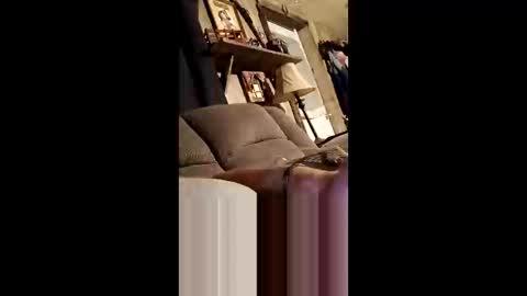 qwcipudorthw online show from 04.07.26