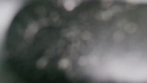 Snapshot of r9dima1998 chatting on 01.21.25 Dmitry online show from 01.21.25