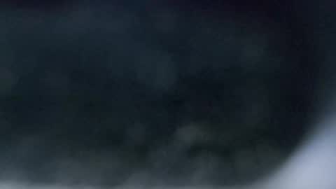 Dmitry online show from 04.26.26