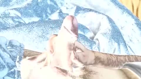 rabo_rico online show from 02.26.26