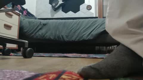 Raccoon68 online show from 12.20.25