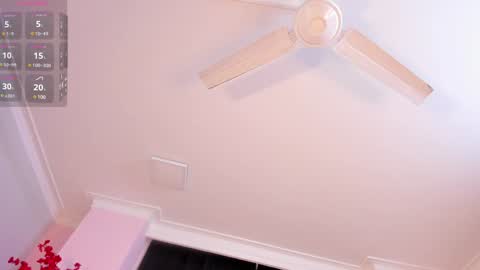 Rachel online show from 01.24.25