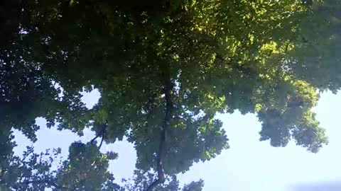 Bigthickdickinvic online show from 02.02.25