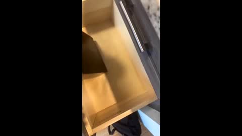 Snapshot of rainbow_randolf chatting on 11.22.25 Rainbow Randolf online show from 11.22.25