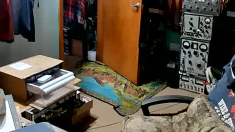 Randall online show from 09.10.25