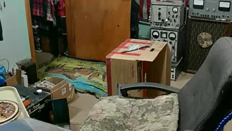 Randall online show from 11.23.25