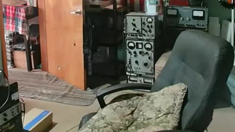 Snapshot of randalltotazz chatting on 05.19.26 Randall online show from 05.19.26
