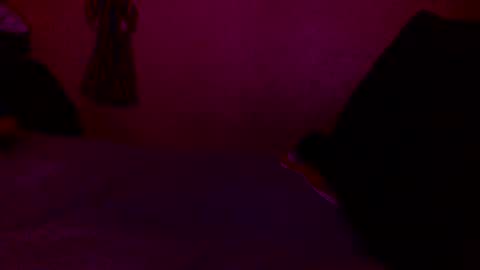 randobad12 online show from 01.18.25