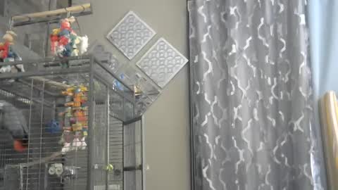 Randy8inbater online show from 12.01.24