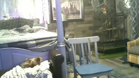 Snapshot of randybater8in chatting on 06.15.26 Randy8inbater online show from 06.15.26