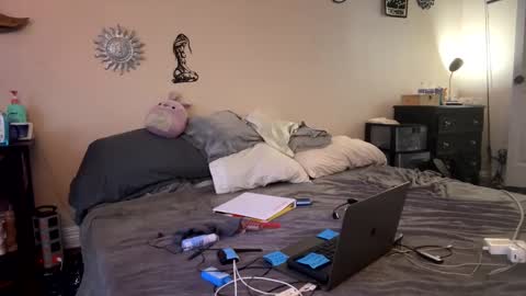 Raven online show from 04.20.26