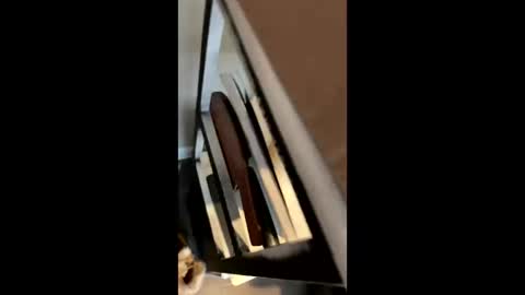 ravenxbeastie online show from 02.17.25