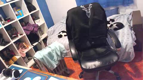 ravingr3d3 online show from 02.05.26