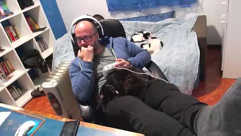 ravingr3d3 online show from 02.11.26