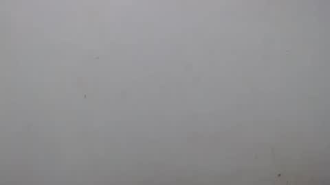 Ray  online show from 02.01.25