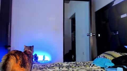 Rayn online show from 09.28.25